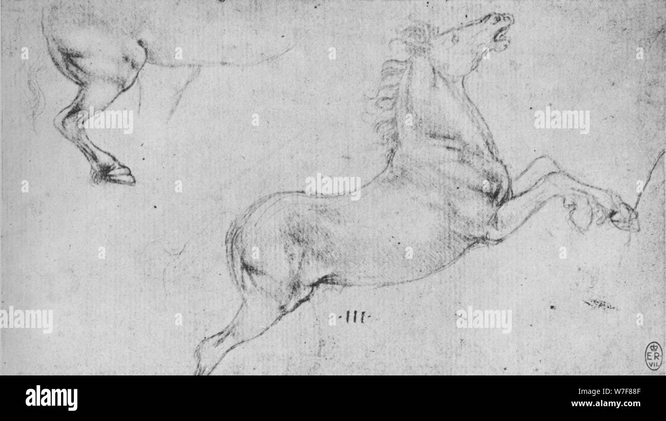 'Studies of a Rearing Horse and a Horse's Hind-Quarters', c1480 (1945). Artist: Leonardo da Vinci. Stock Photo