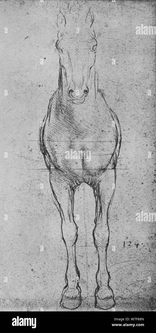 'A Horse Seen from the Front', c1480 (1945). Artist: Leonardo da Vinci. Stock Photo