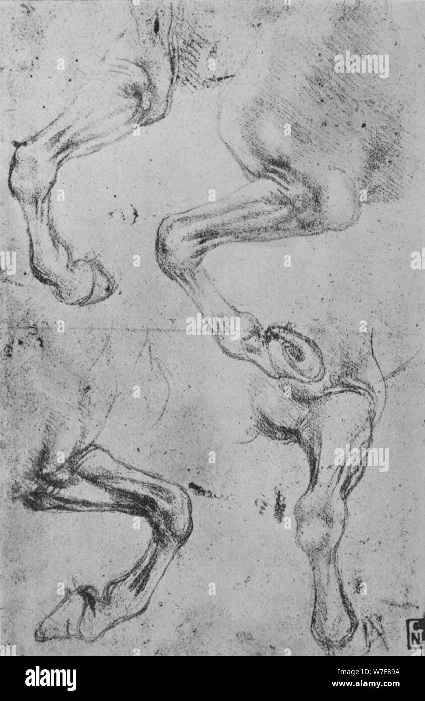 'Four Studies of Horses' Legs', c1480 (1945). Artist: Leonardo da Vinci. Stock Photo