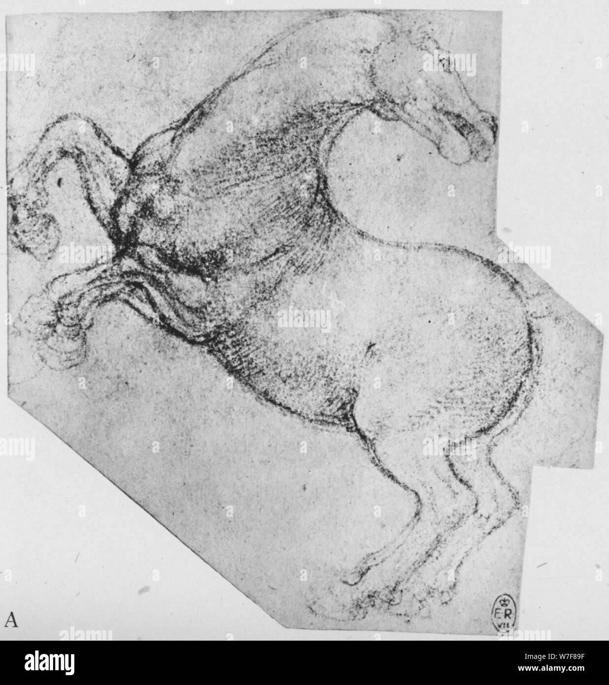 'Study of a Rearing Horse', c1480 (1945). Artist: Leonardo da Vinci. Stock Photo