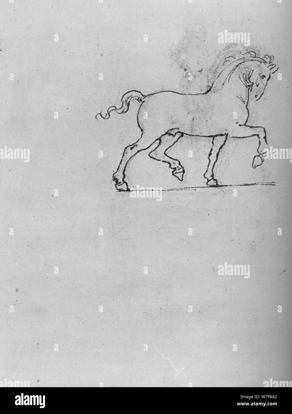 'Study of a Horse', c1480 (1945). Artist: Leonardo da Vinci. Stock Photo