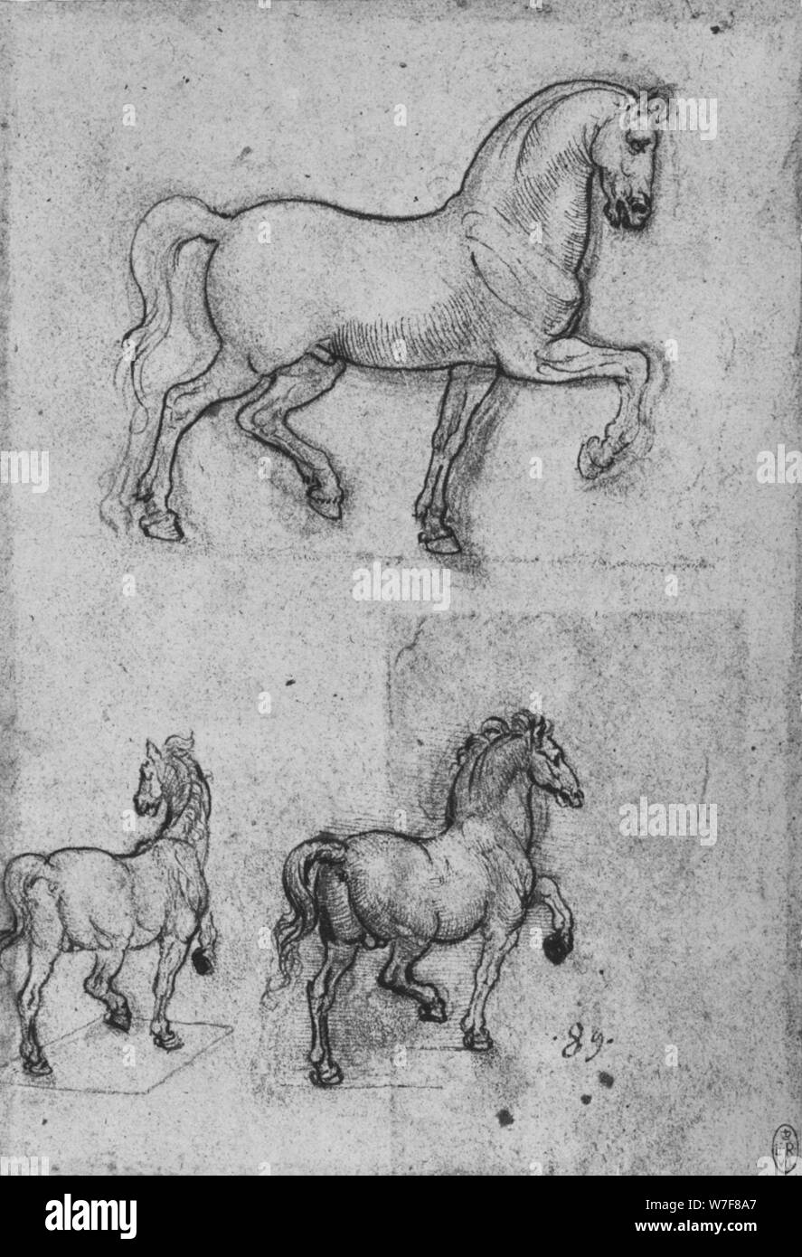 'Three Studies of Horses', c1480 (1945). Artist: Leonardo da Vinci. Stock Photo