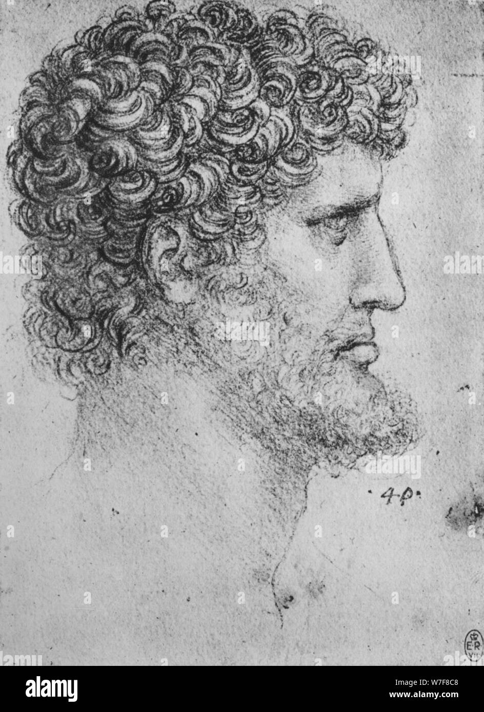 'Profile to the Right of an Bearded Man', c1480 (1945). Artist: Leonardo da Vinci. Stock Photo
