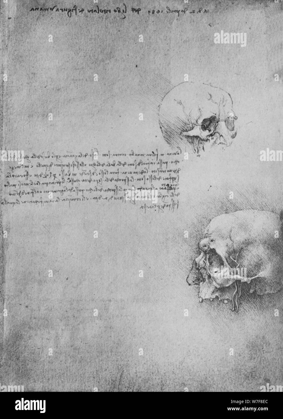 'Two Drawings of the Bony Structure of the Head', c1480 (1945). Artist: Leonardo da Vinci. Stock Photo
