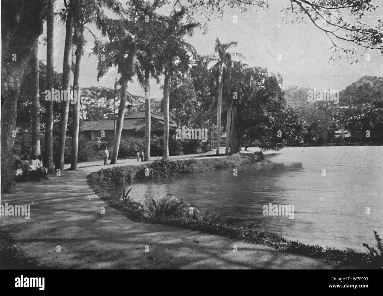 'Kandy Lake and Drive', c1890, (1910). Artist: Alfred William Amandus ...