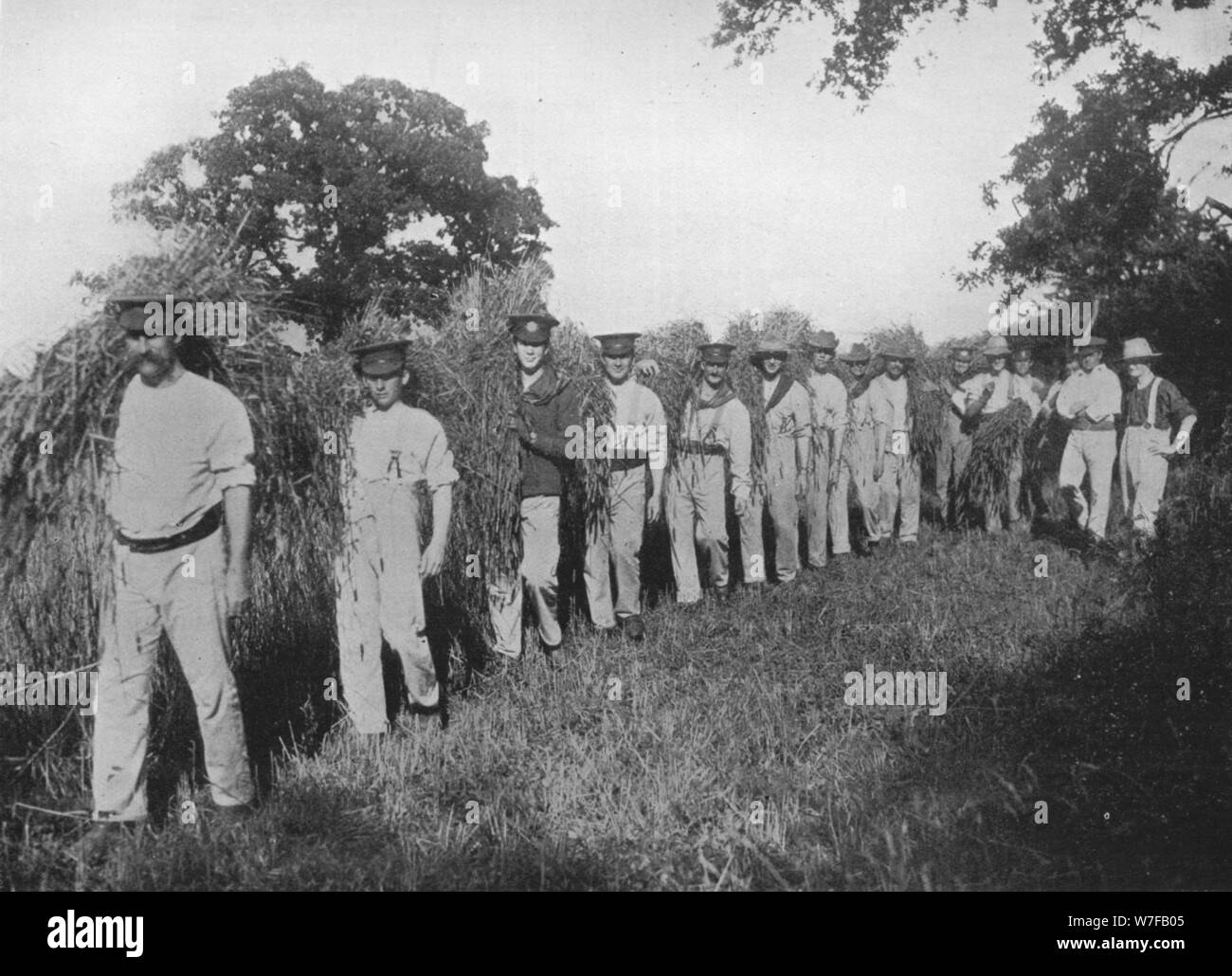 Wwi soldiers farming Black and White Stock Photos & Images Alamy