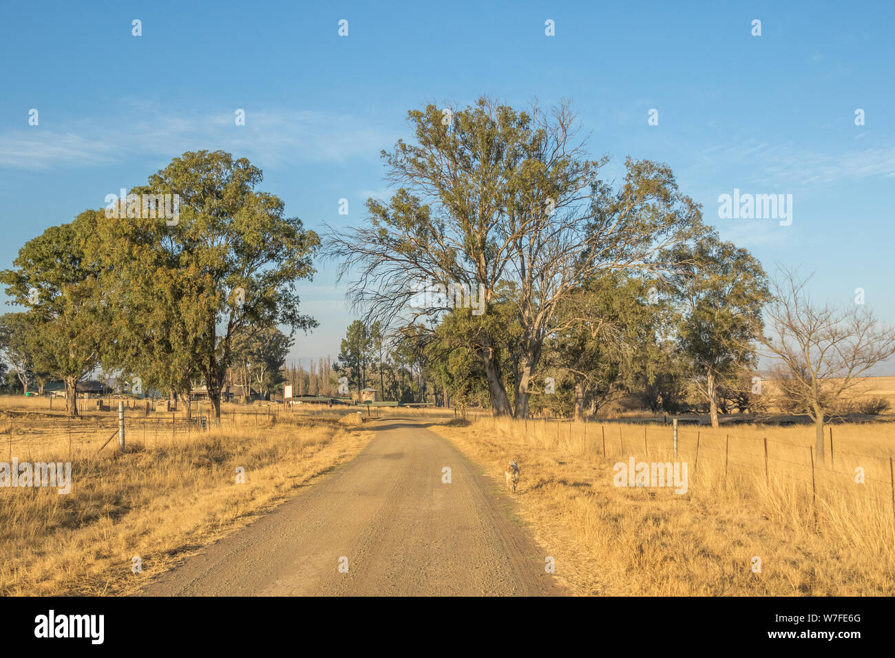 Bergville, South Africa - a dirt road leads to the Dalmore Guest Farm holiday accommodation on a working farm in kwaZulu-Natal province Stock Photo