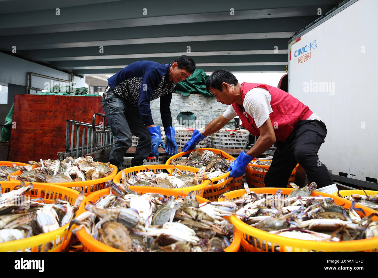 Fishermen load portunid crabs after the lifting of a fishing ban at a port in Zhoushan city, east China's Zhejiang province, 21 September 2017.   Fish Stock Photo