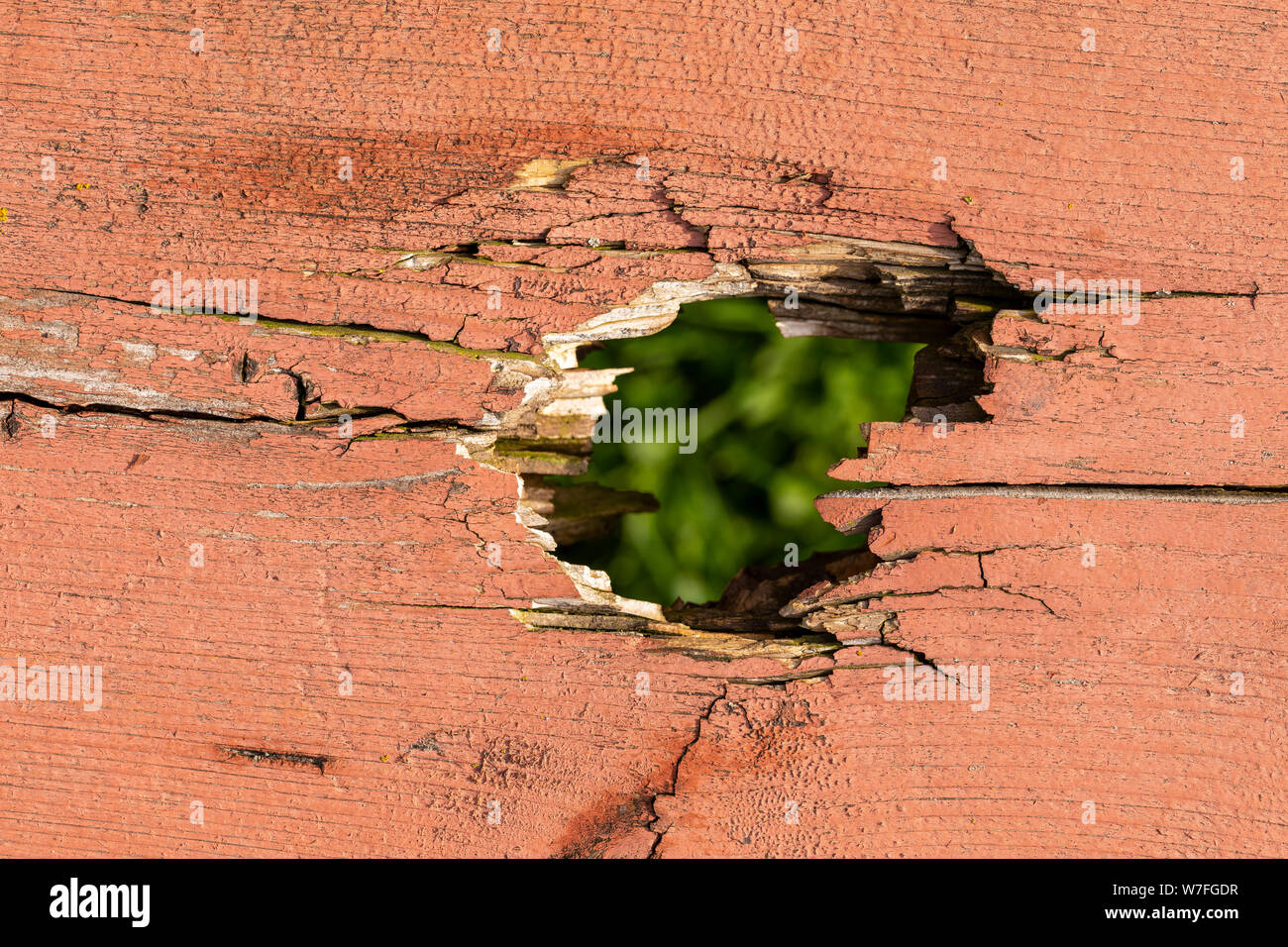 Hole In Wood with Grass Background Stock Photo