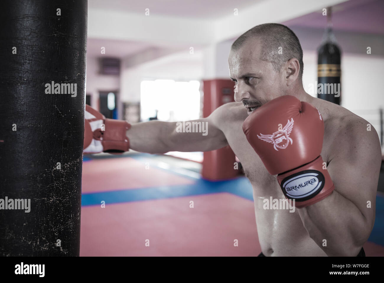Muay thai fighter hitting the heavy bag in the gym Stock Photo Alamy