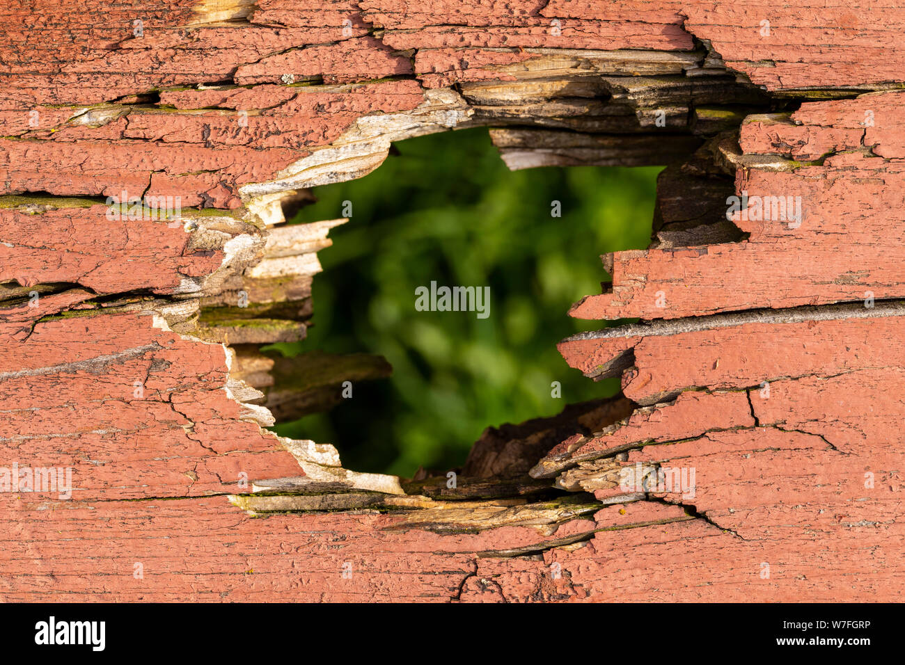 Hole In Wood with Grass Background Stock Photo