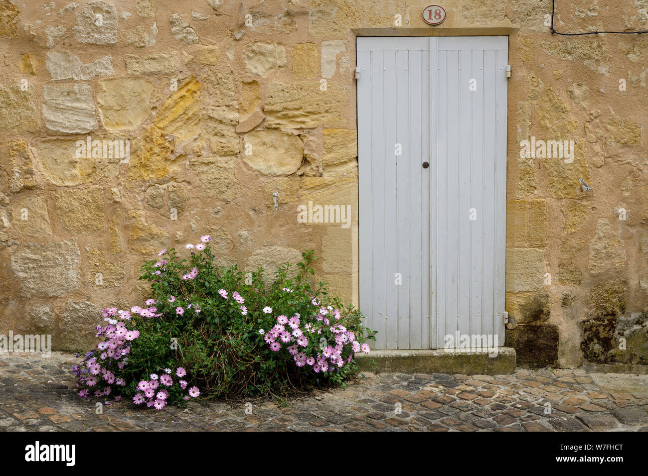 Saint Émilion yellow sandstone building with painted doorway and pink daisy growing outside over cobbled street. Gironde region, France. Stock Photo