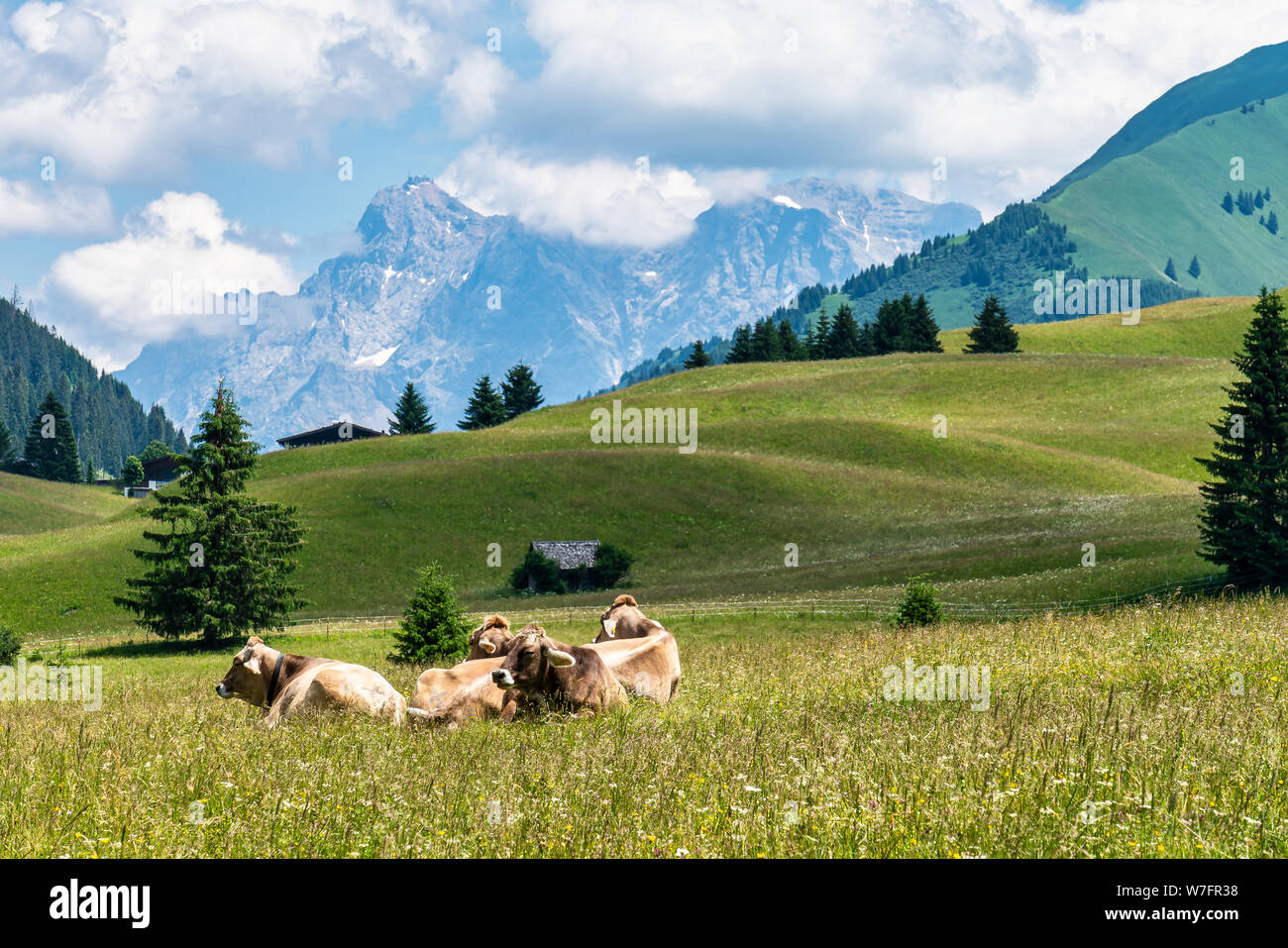 Little village Rinnen near Imst in Tirol Austria, Europe Stock Photo