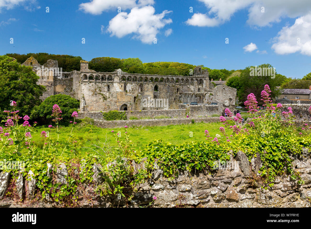 The ruins of the historic 13th century Bishop's Palace in St Davids, Pembrokeshire, Wales, UK Stock Photo