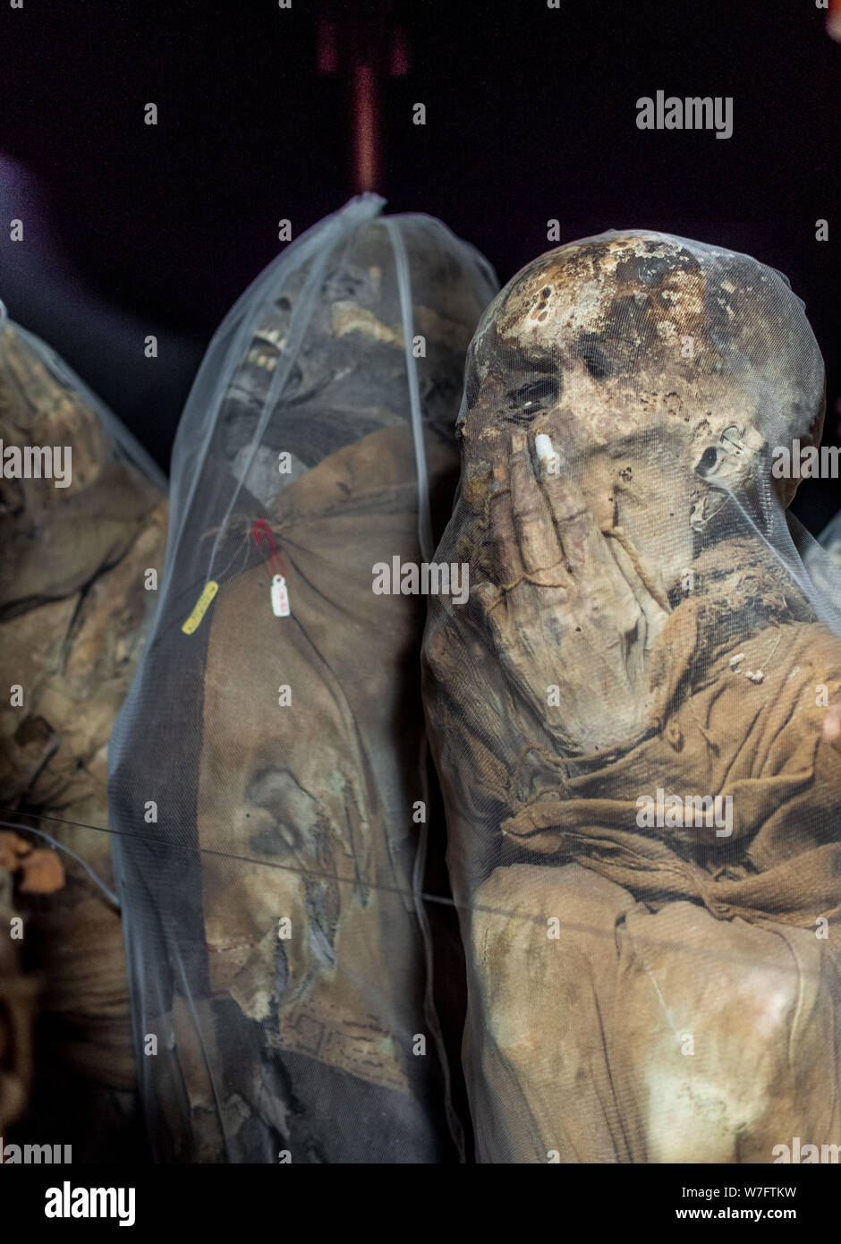 The famous mummies that have been found at tombs near Laguna de los Condores (Lake of the Condors) and can now be seen at Leymebamba museum. Stock Photo