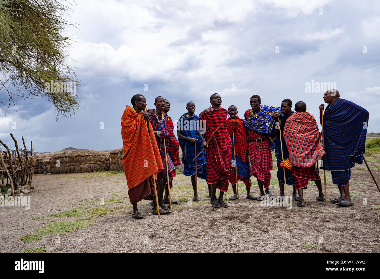 Traditional Masai Jumping Dance at a Masai Village, Tanzania, East Africa Stock Photo