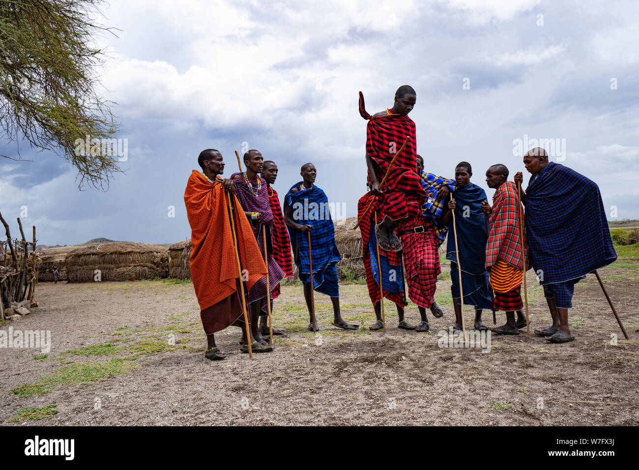 Traditional Masai Jumping Dance at a Masai Village, Tanzania, East Africa Stock Photo