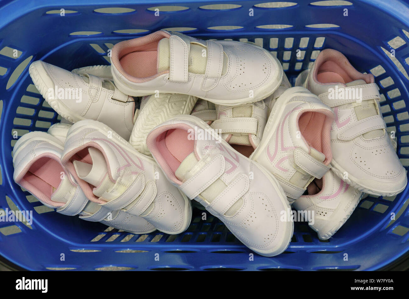 converse ochsner sport