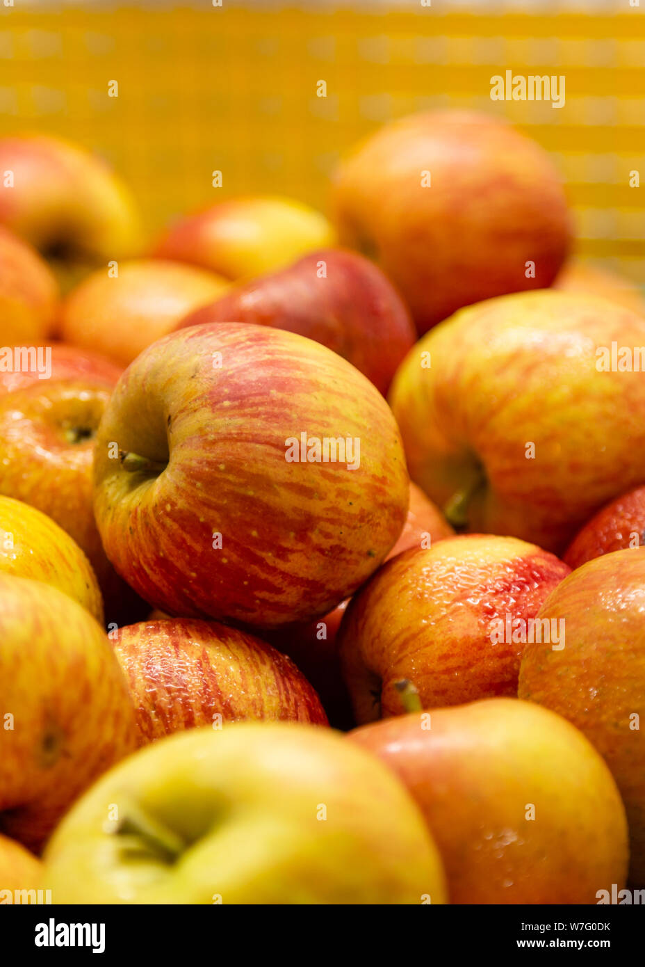 Yellow Apple Images – Browse 1,864 Stock Photos, Vectors, and