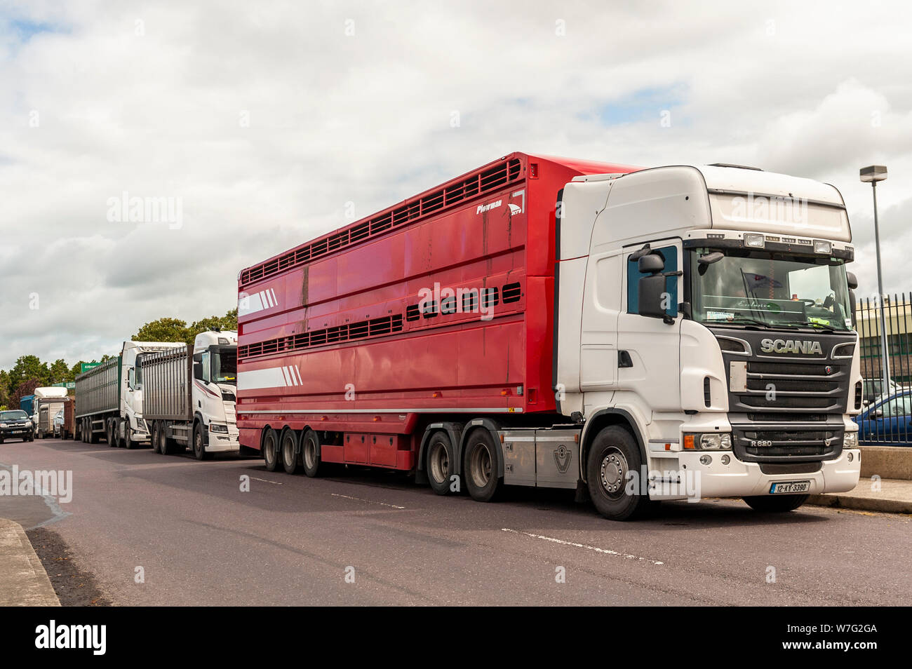 Bandon, West Cork, Ireland. 6th Aug, 2019. A long line of cattle carrying lorries, trucks and Bandon, West Cork, Ireland. 6th Aug, 2019. A long line of cattle carrying lorries, trucks and