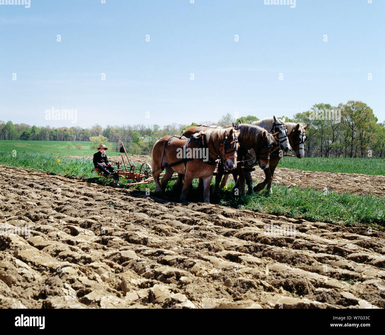 Amish farm scene in Pennsylvania Stock Photo - Alamy