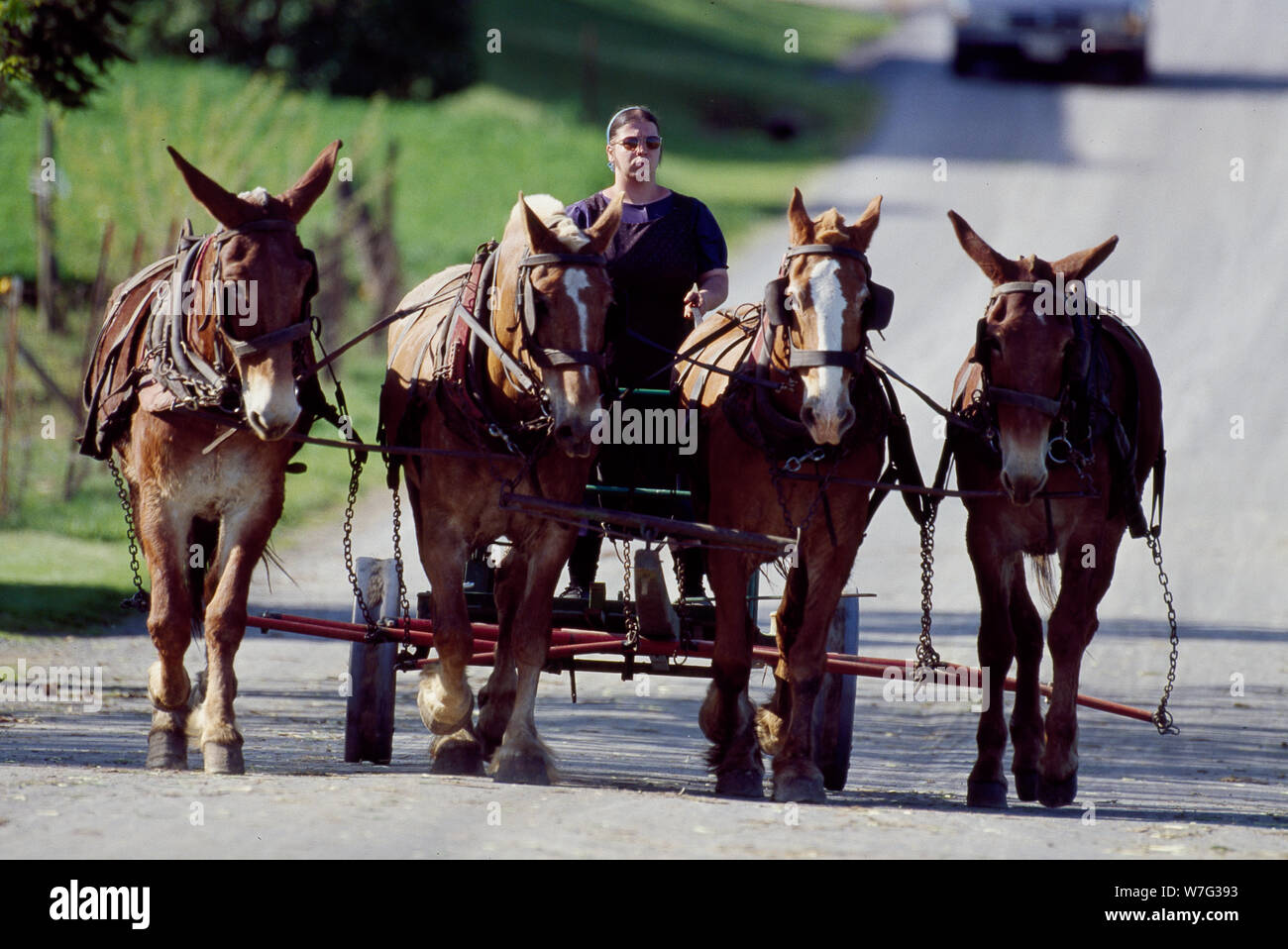 Amish life in Lancaster, Pennsylvania Stock Photo - Alamy
