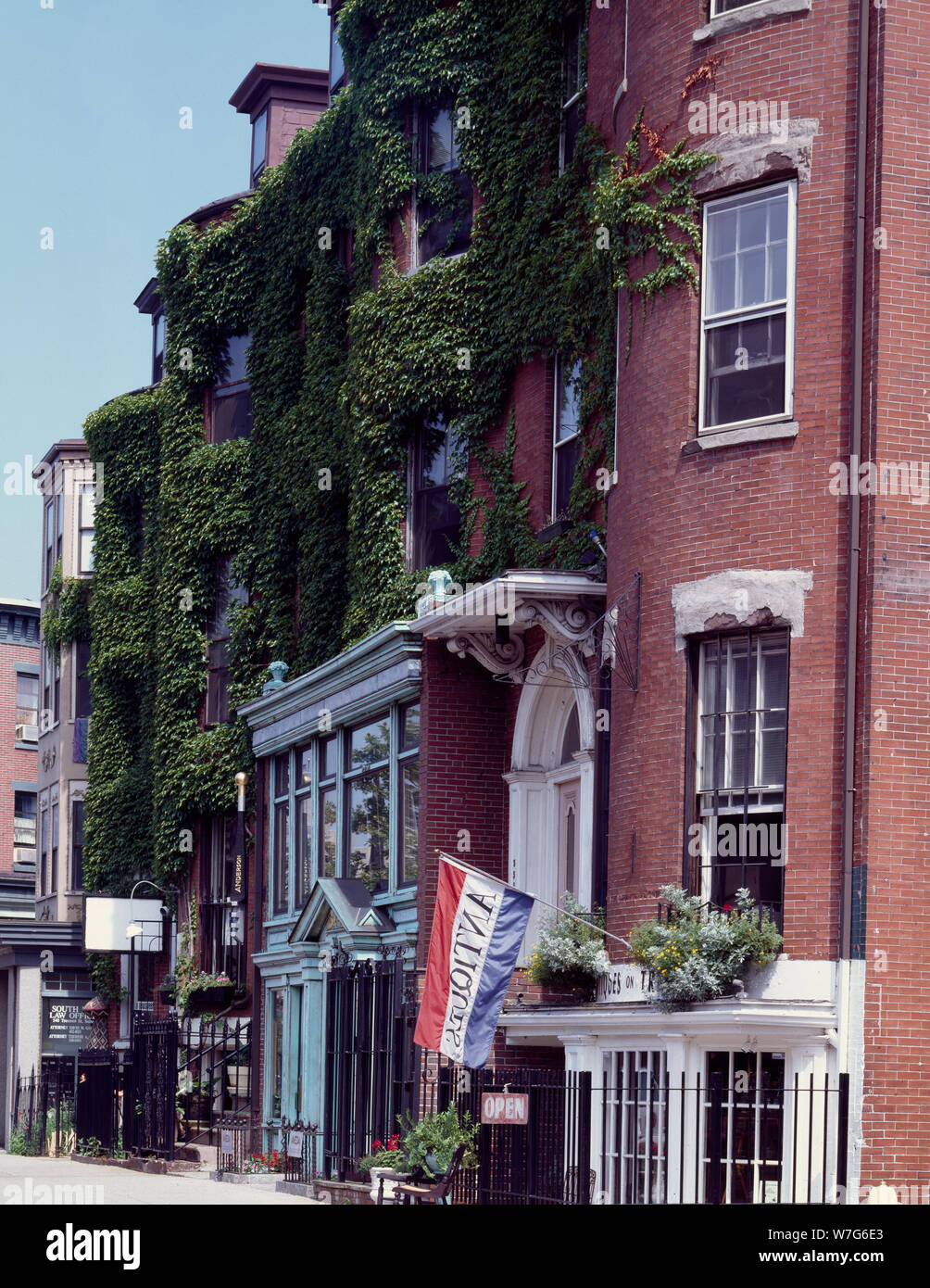 Antique store and other businesses on Tremont Street of South End