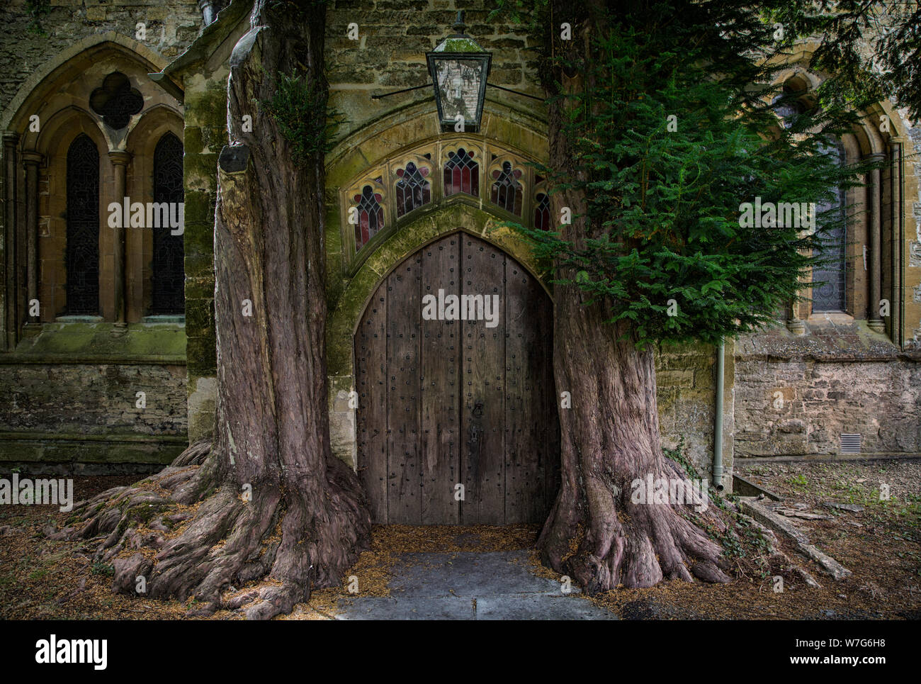 Trees growing around one of the doorways to St. Edwards Church, Stow-on-the-Wold, Cotswolds, Gloucestershire, England Stock Photo