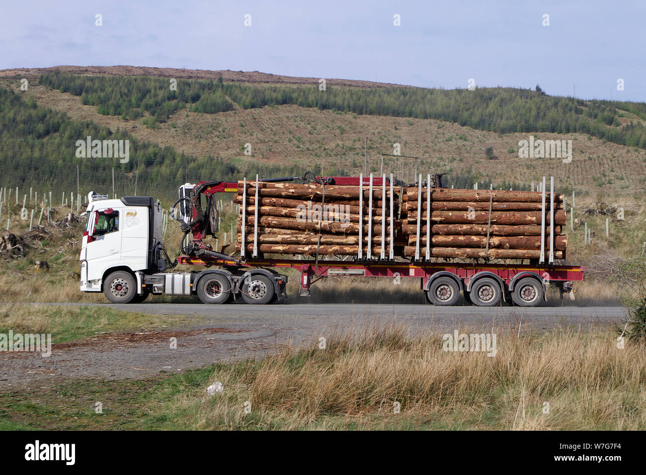 Timber Transport Lorry on Minor Road through Ettrick Marshes Stock Photo