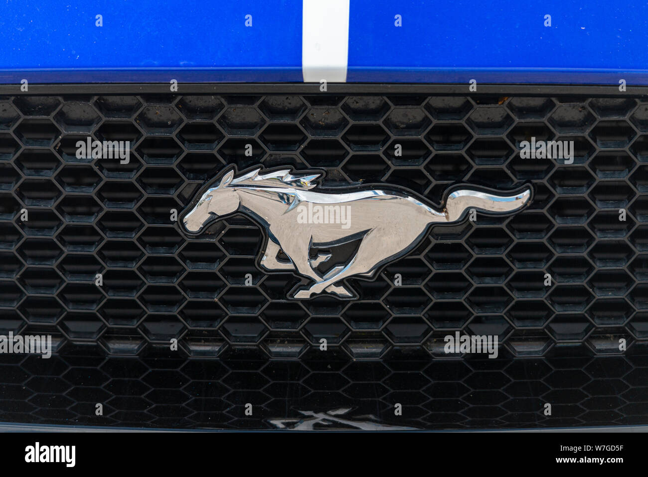 Ford Mustang Pferd Logo auf dem Kühlergrill des klassischen amerikanischen  Auto Stockfotografie - Alamy