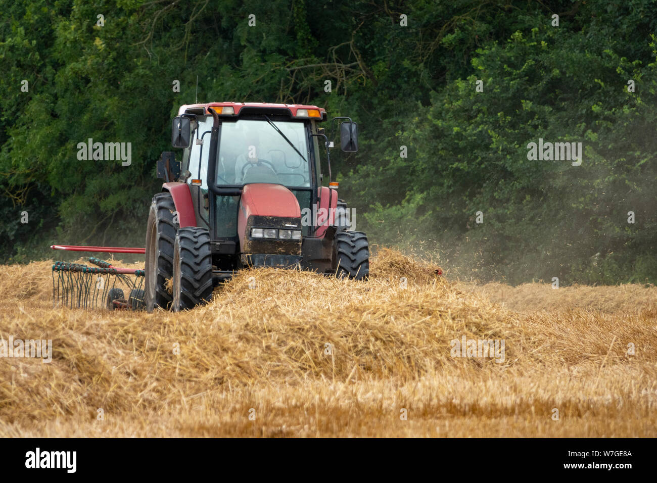 A tractor turning straw on a field producing dust against a background ...