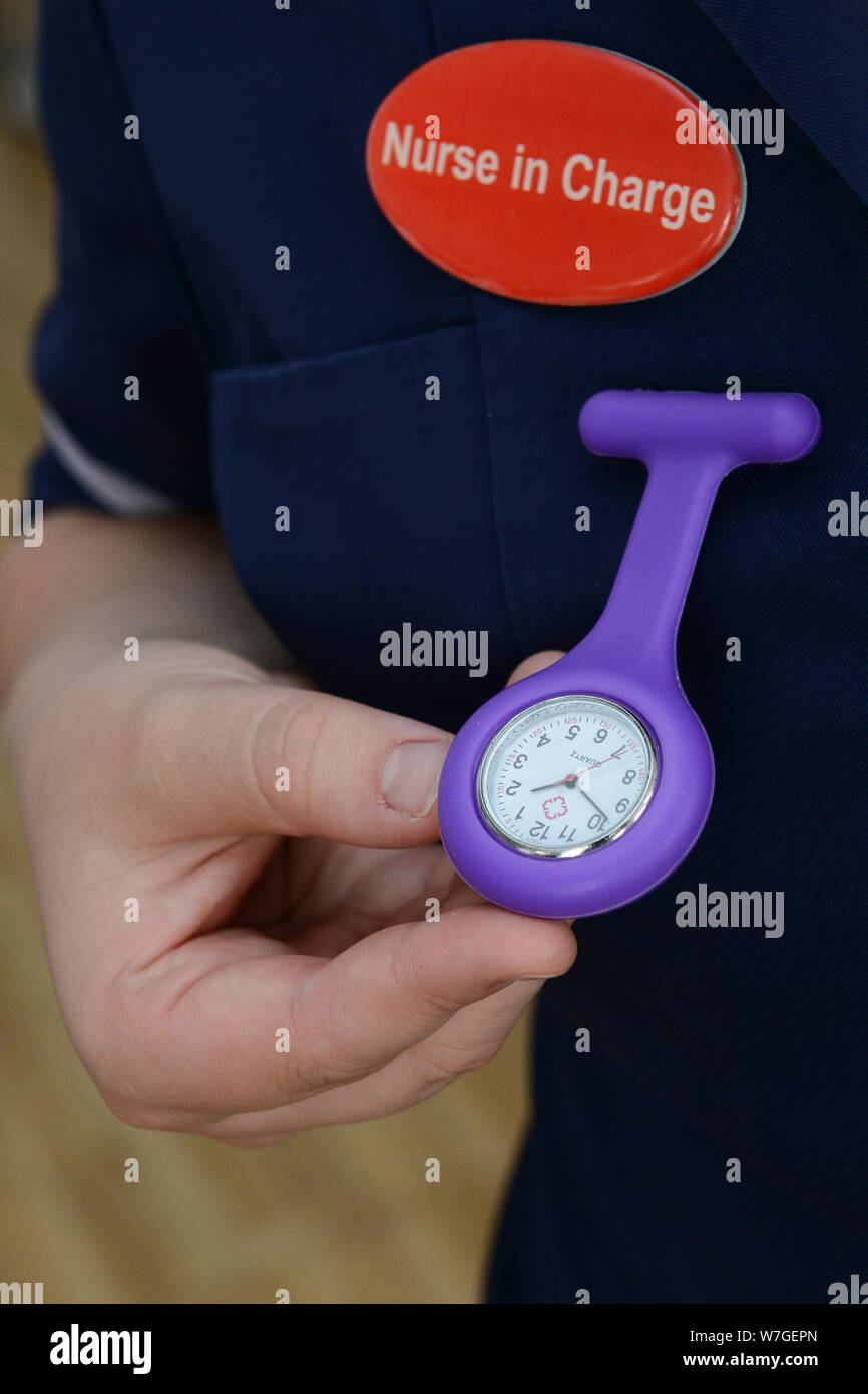 An NHS nurse's fob watch. Stock Photo