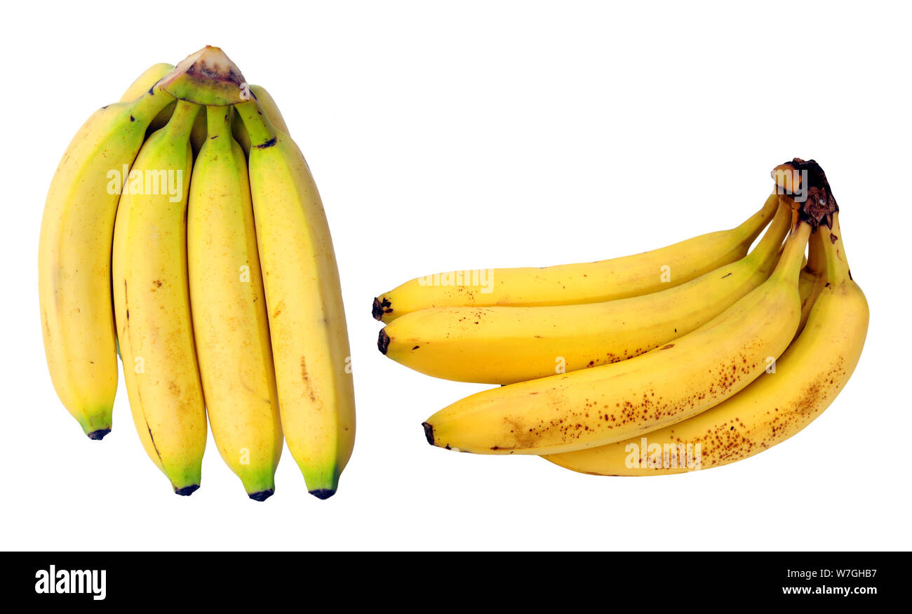 two aging stages of banana bunch isolated on white Stock Photo - Alamy