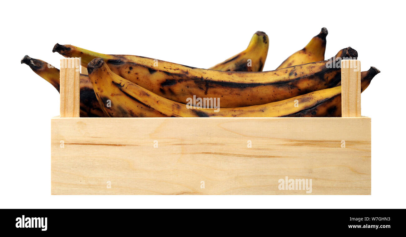 over ripe banana plantain in wooden case on white background Stock