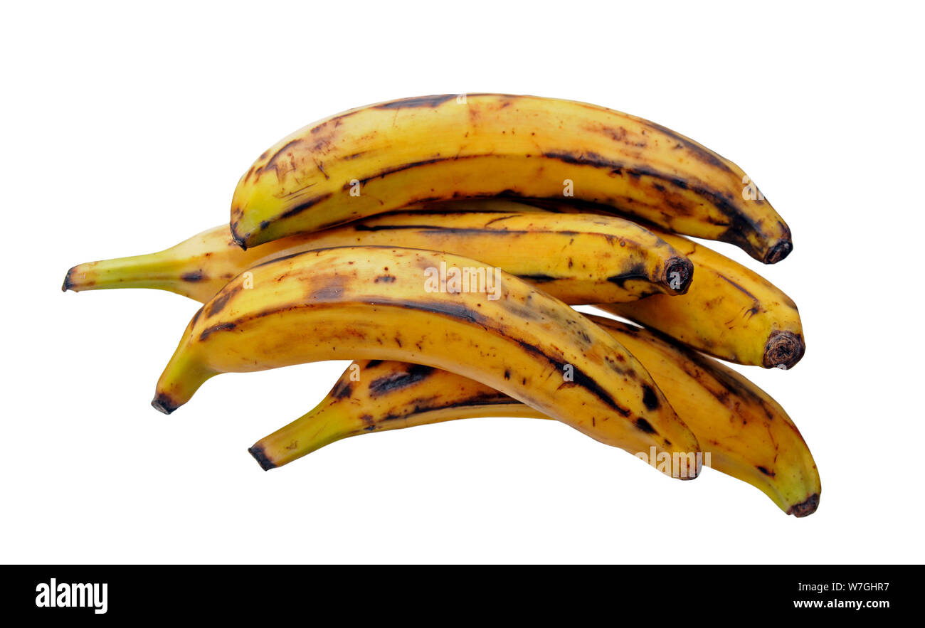 a group of plantain bananas isolated on white Stock Photo Alamy