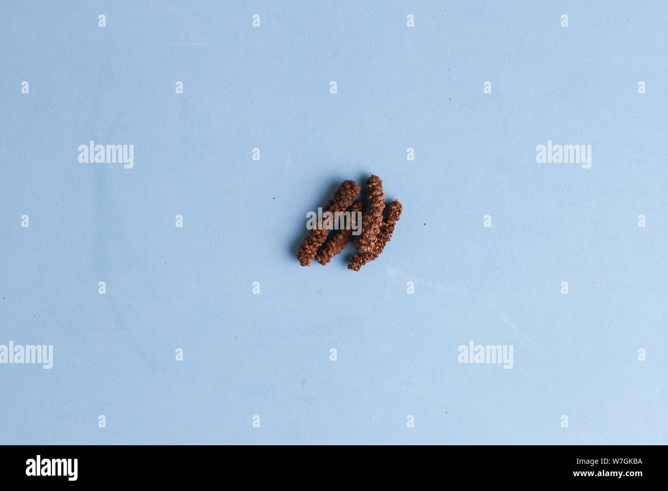 Long peppercorns for cooking and cocktails Stock Photo Alamy
