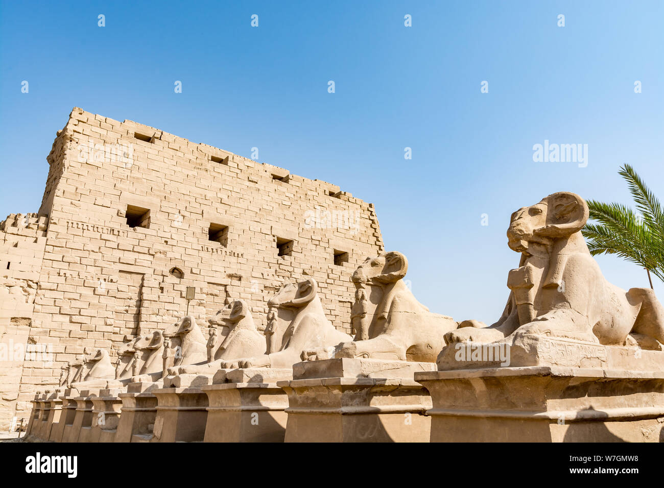 Ram statutes at the entrance to the Karnak temple, Luxor, Egypt Stock Photo