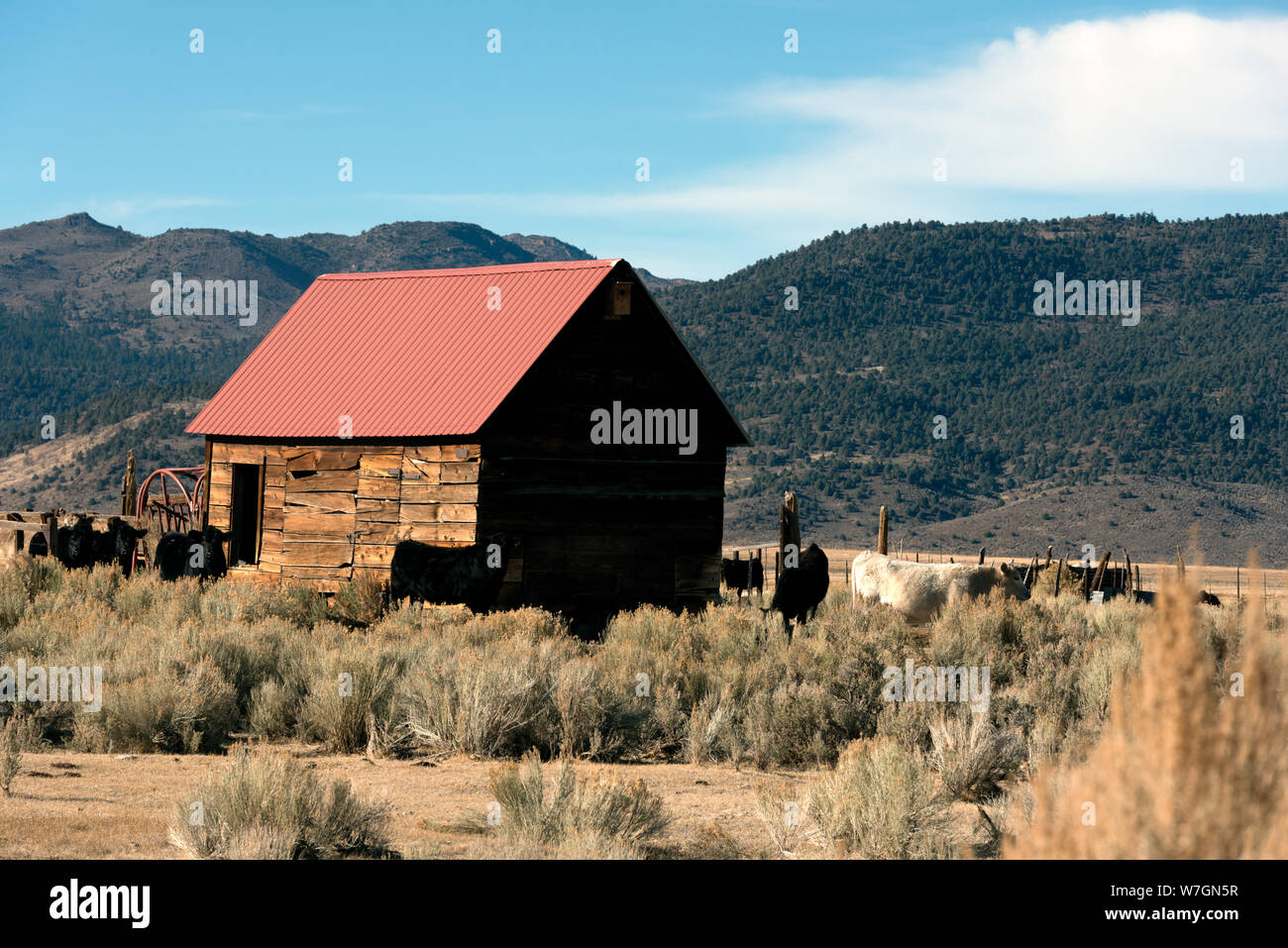 Barn along the road in Northern California Stock Photo - Alamy