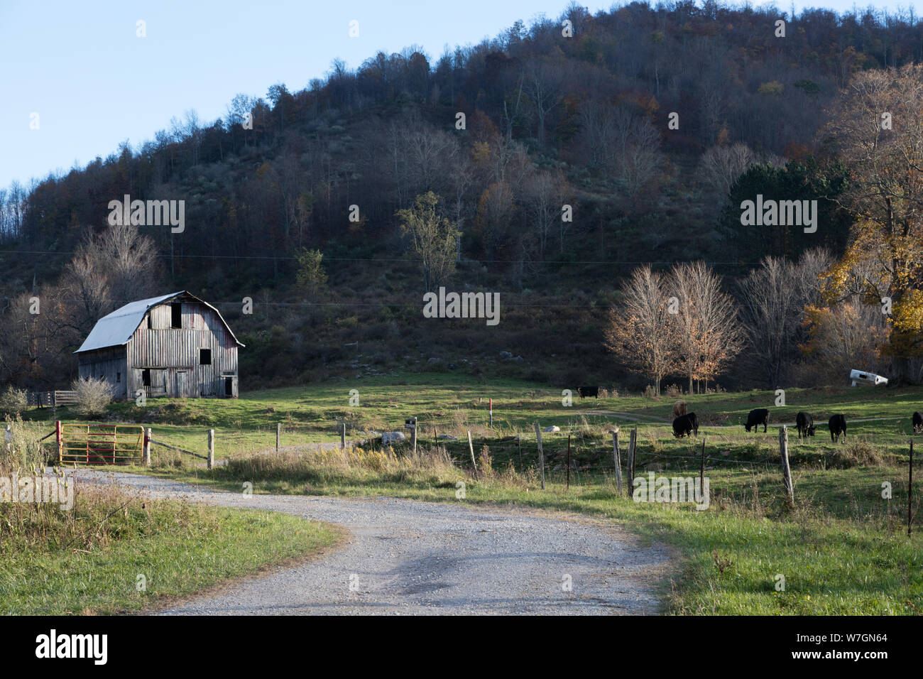 Barn and farm scene in Pocahontas County, West Virginia Stock Photo Alamy