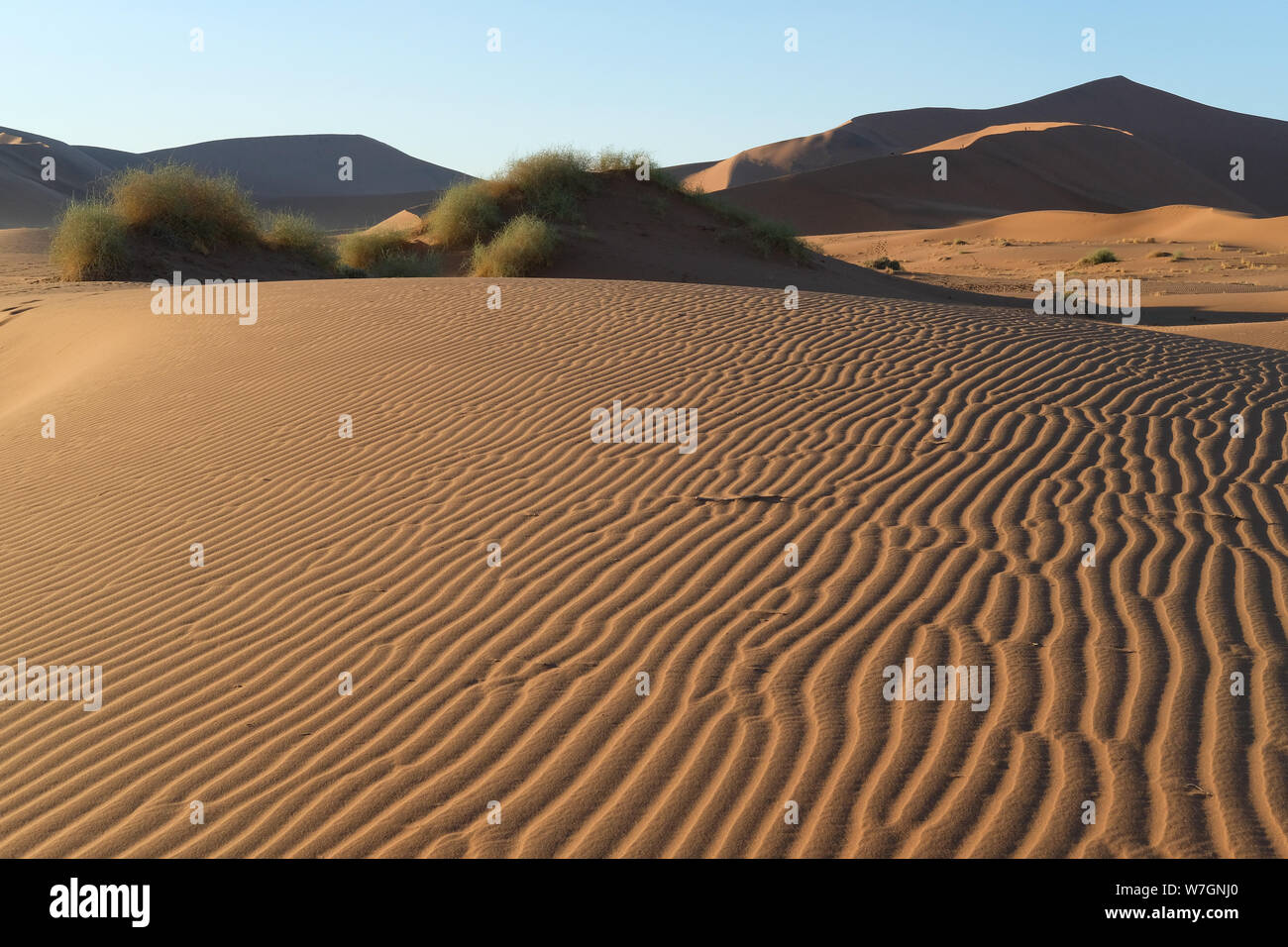 Dune of deadvlei hi-res stock photography and images - Alamy