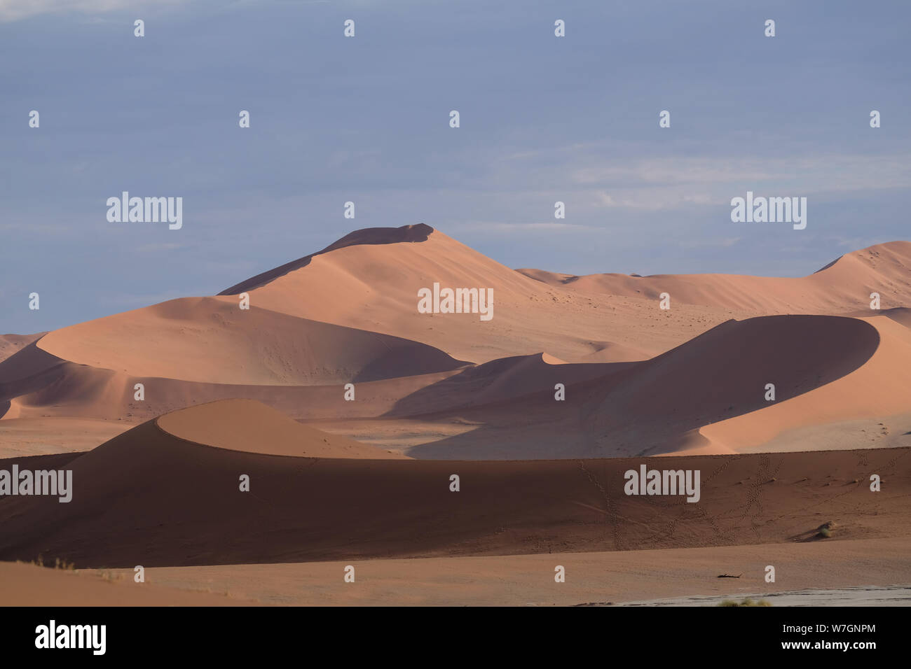 Dune of deadvlei hi-res stock photography and images - Alamy