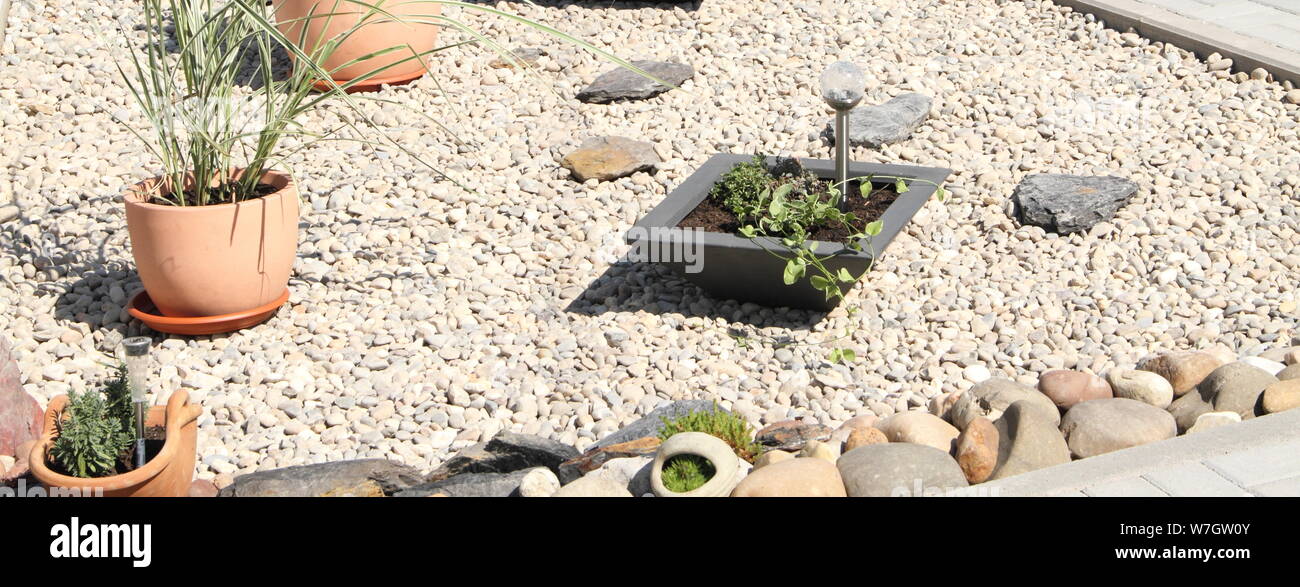 Boxwood Front Yard High Resolution Stock Photography and Images - Alamy