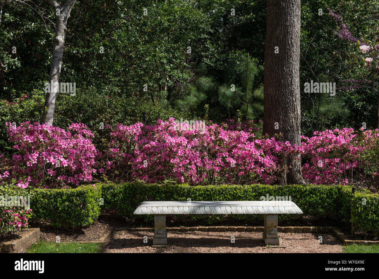 Bench In A Restful Colorful Setting At The Bayou Bend Collection