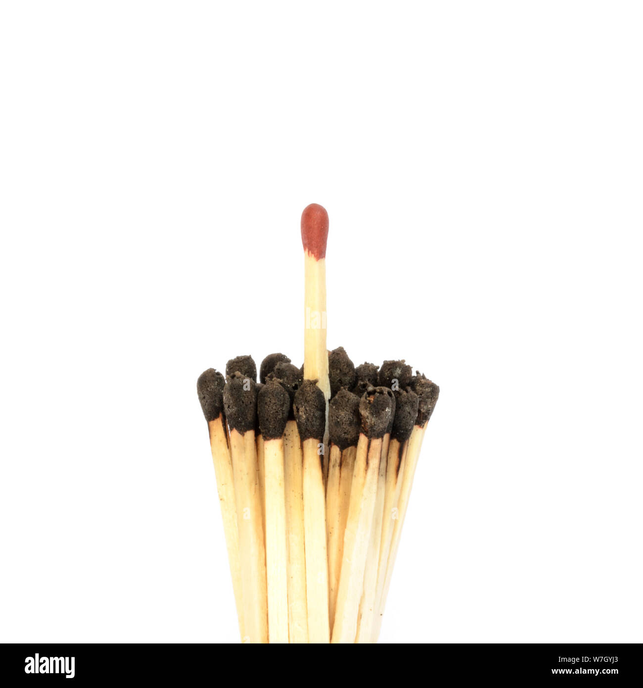 Red matchstick among a bundle of burnt ones Stock Photo