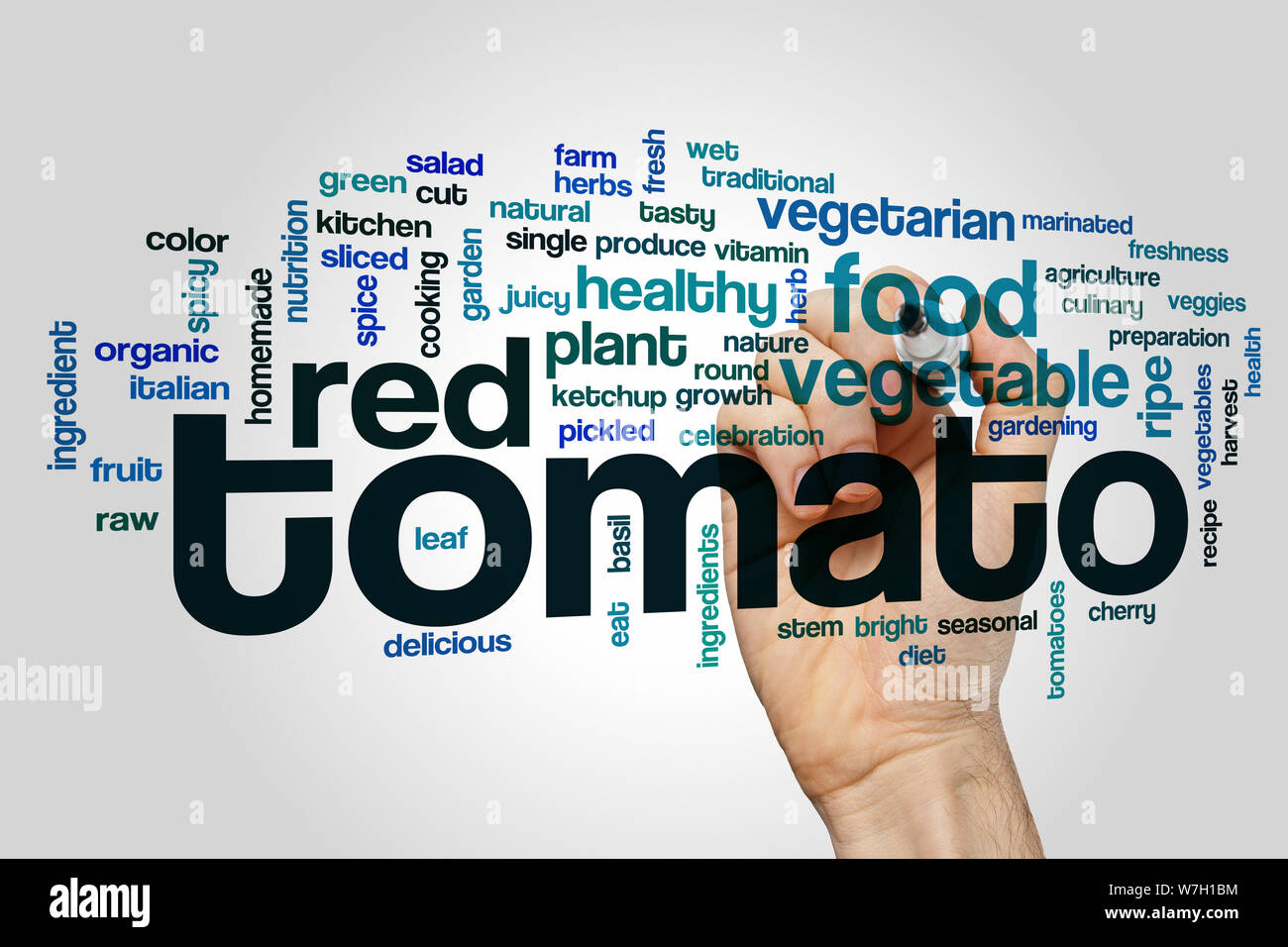 Tomato word cloud Stock Photo Alamy
