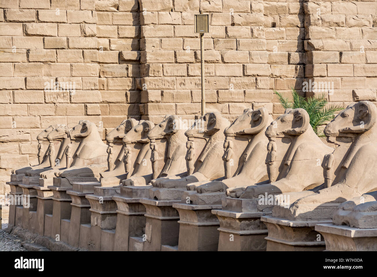 Ram statutes at the entrance to the Karnak temple, Luxor, Egypt Stock Photo