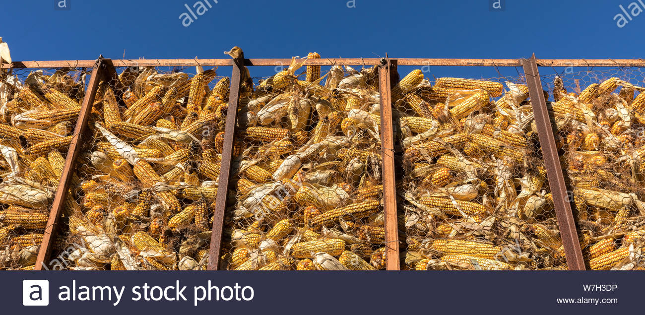 Grains Rack Grain Rack High Resolution Stock Photography and Images - Alamy