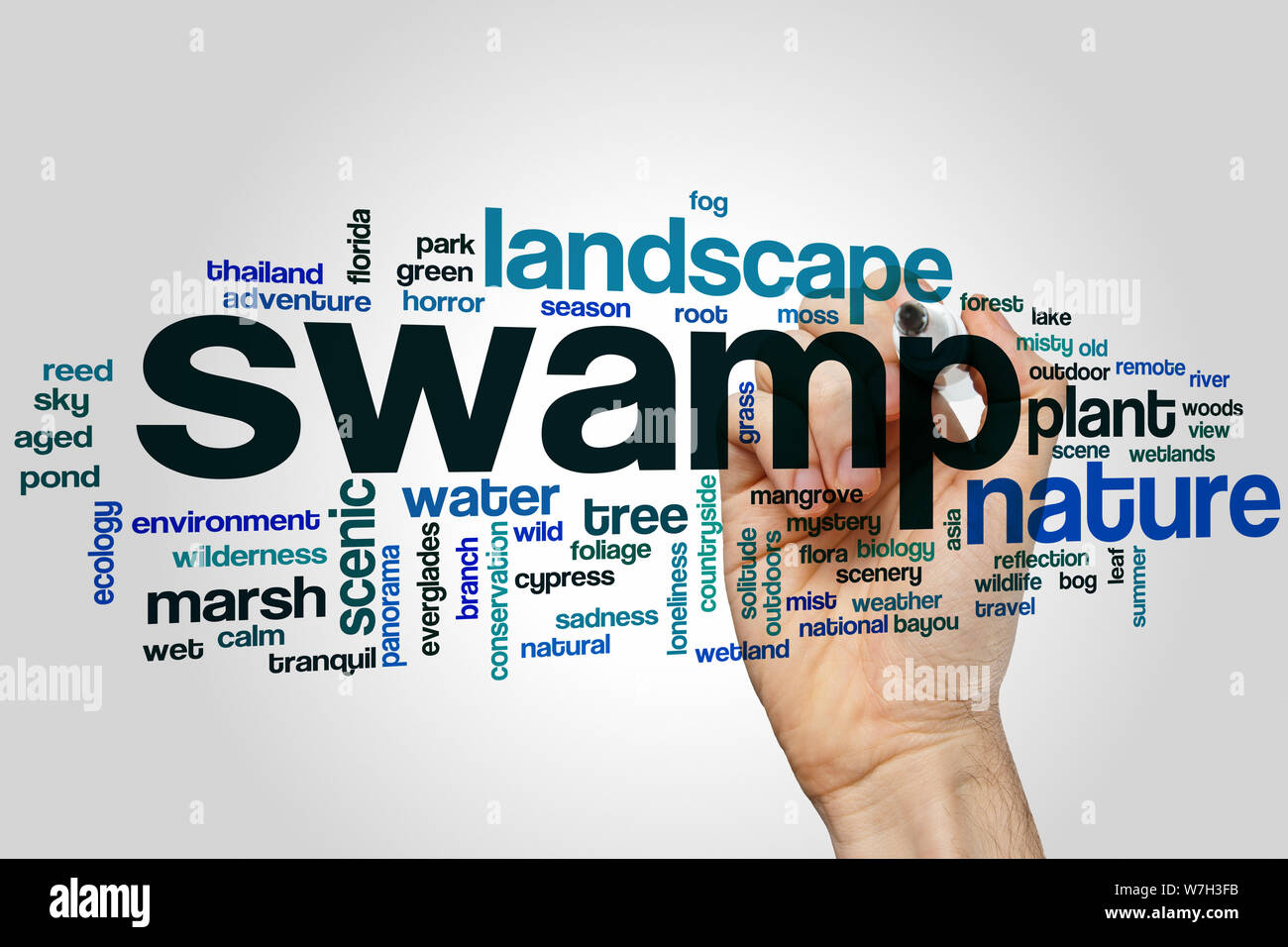 Swamp word cloud concept Stock Photo Alamy