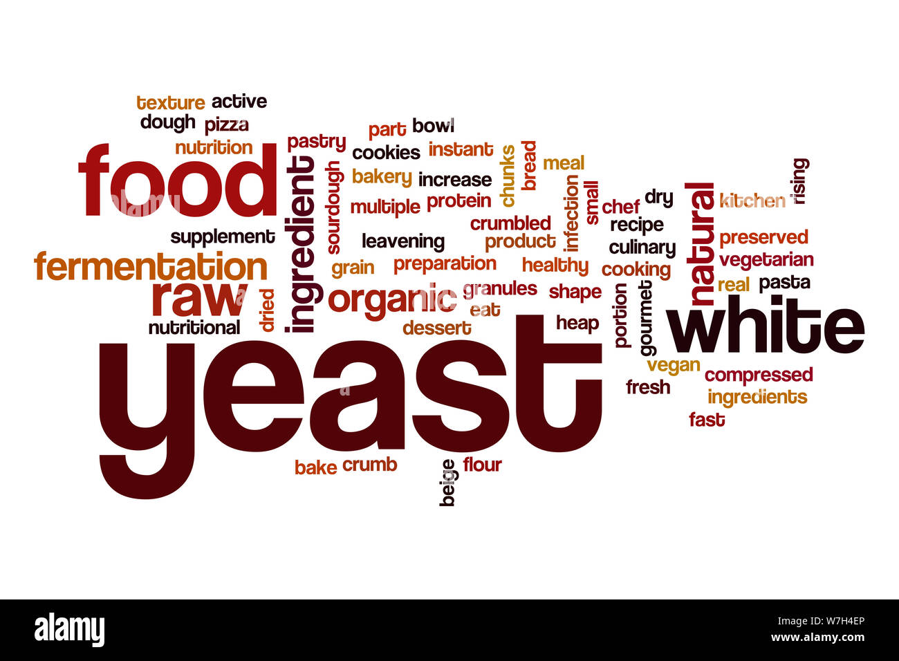 Yeast word cloud Stock Photo Alamy