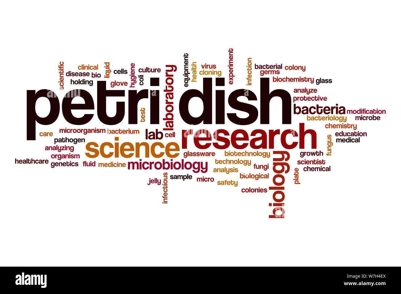 Petri dish word cloud Stock Photo Alamy